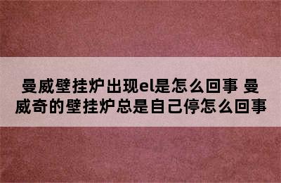 曼威壁挂炉出现el是怎么回事 曼威奇的壁挂炉总是自己停怎么回事